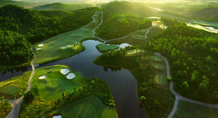 Image gallery